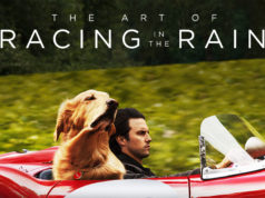 The Art of Racing in the Rain