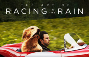 The Art of Racing in the Rain