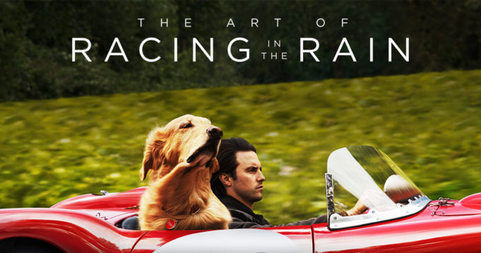 The Art of Racing in the Rain