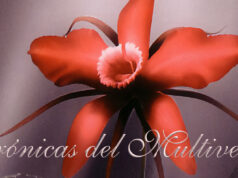 Crónicas del Multiverso Special – Nightwish #8